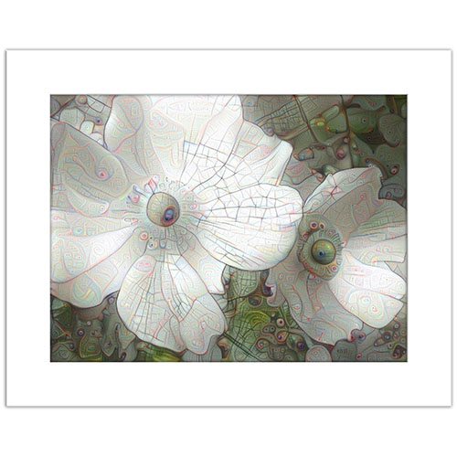 Anemone Print, Giclee